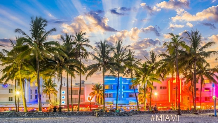 Visit Miami when travel re-opens to USA in November